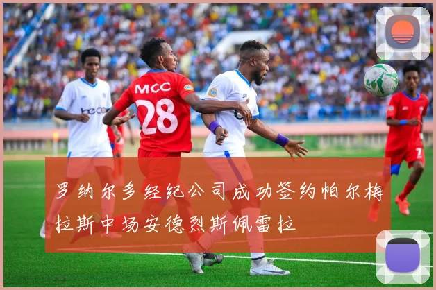 罗纳尔多经纪公司成功签约帕尔梅拉斯中场安德烈斯佩雷拉